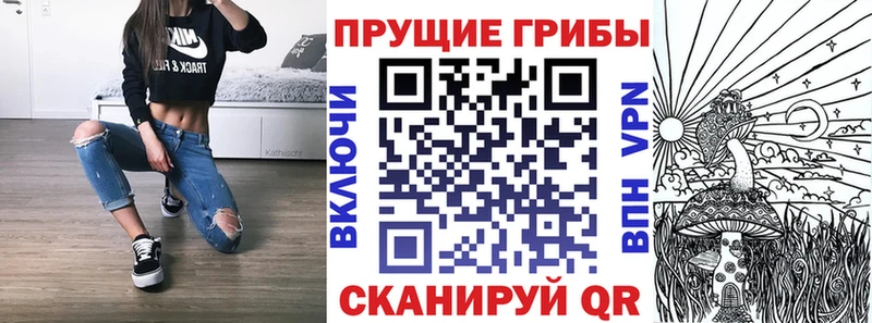 Галлюциногенные грибы прущие грибы  Апатиты 