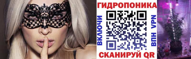 Конопля семена наркошоп Апатиты